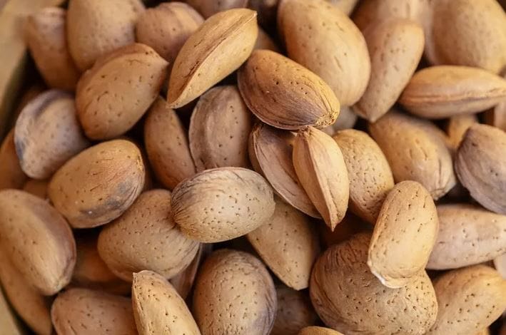 تصویر 4 از بادام سنگی درجه یک با مغز درشت و یکدست